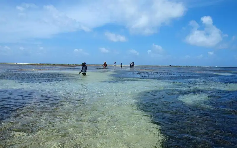 Reef at low tide